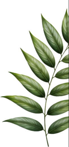 ROYAL-NURSERY-GARDEN-Decorative Leaf