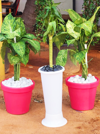 Garden Tools